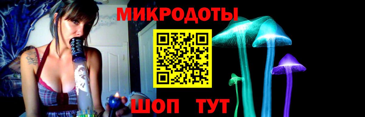 Псилоцибиновые грибы прущие грибы Знаменск